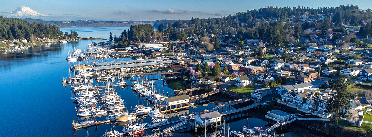 Hands of Hope Gig Harbor 2026